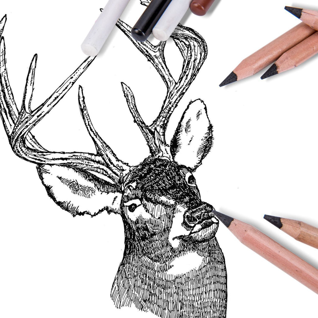 2 Sets of 4-Color Carbon Drawing Chalk Pencils – Sketching & Shading Art Pencil Kit for Artists, Beginners & Students