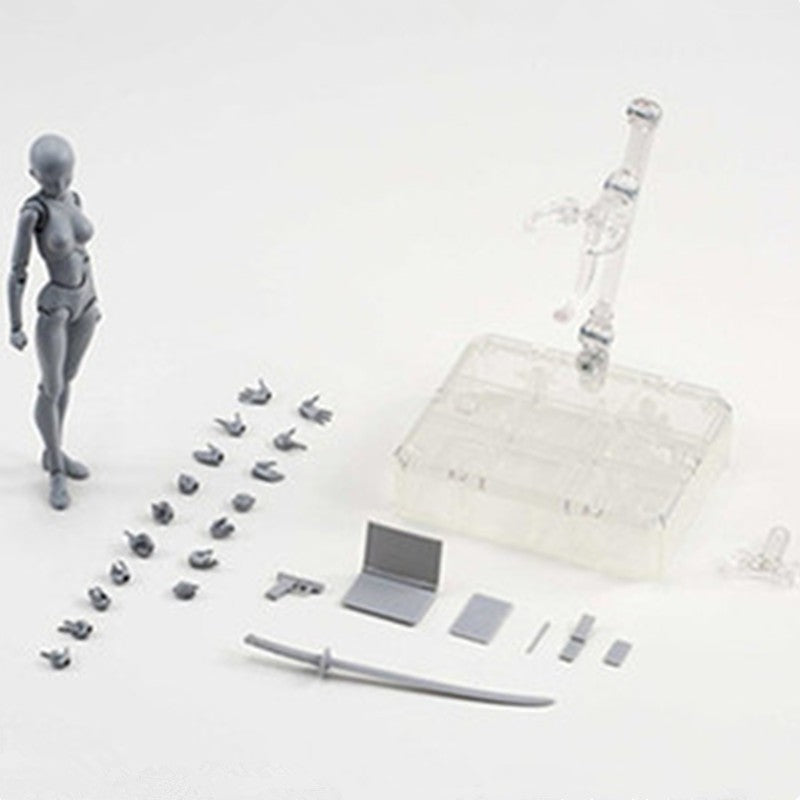 Artist Figure Drawing Model – Poseable Human Anatomy Mannequin for Sketching