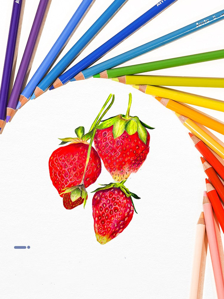 Soft Core Colored Pencils – Art Supplies Drawing & Sketching Set