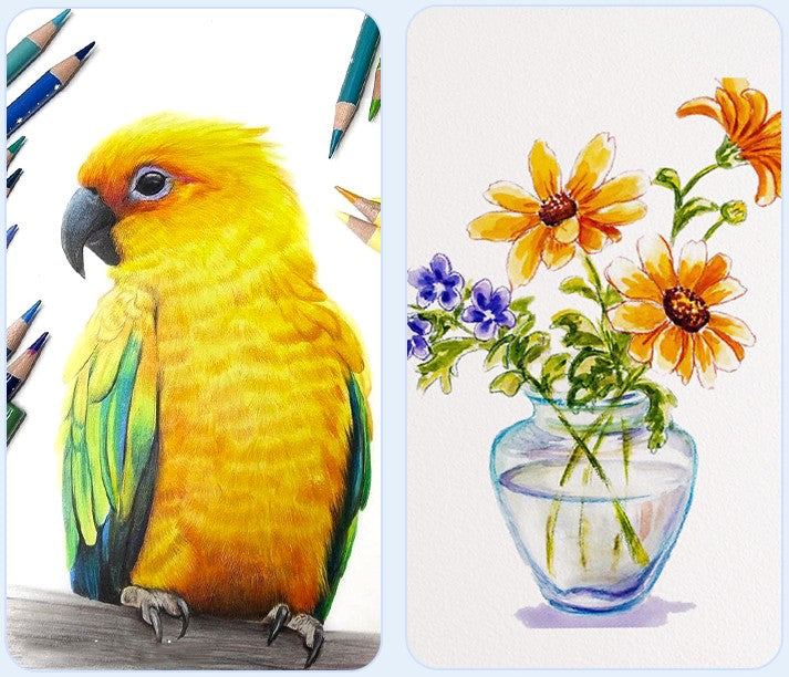 Soft Core Colored Pencils – Art Supplies Drawing & Sketching Set