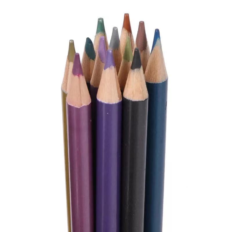Sketch & Color Pencil Set – Complete Drawing & Painting Tools